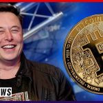 Musk And Bitcoin: Accusations And 1 Bold Denouncement