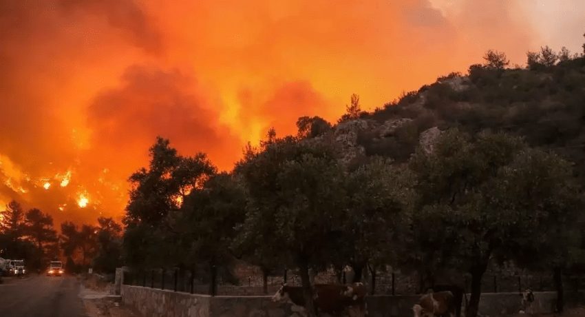 Turkey Wildfires